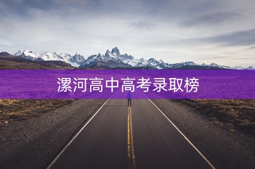 漯河高中高考录取榜