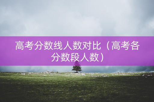 高考分数线人数对比（高考各分数段人数）