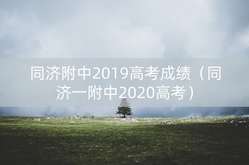 同济附中2019高考成绩（同济一附中2020高考）