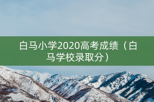 白马小学2020高考成绩（白马学校录取分）