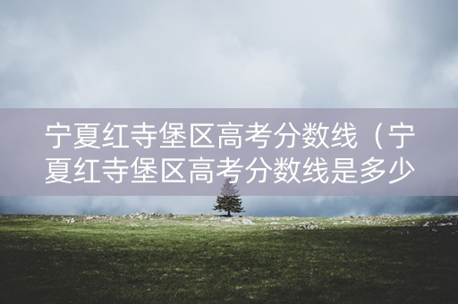 宁夏红寺堡区高考分数线（宁夏红寺堡区高考分数线是多少）