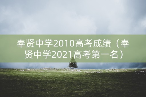 奉贤中学2010高考成绩（奉贤中学2021高考第一名）