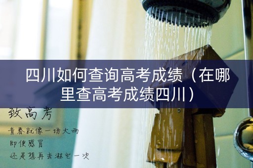 四川如何查询高考成绩（在哪里查高考成绩四川）