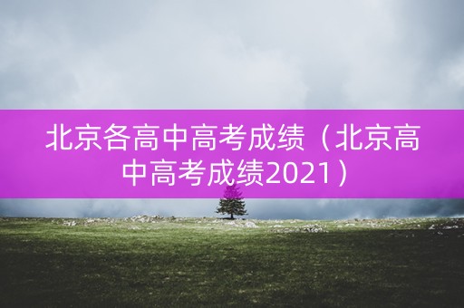 北京各高中高考成绩（北京高中高考成绩2021）