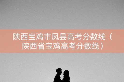 陕西宝鸡市凤县高考分数线（陕西省宝鸡高考分数线）