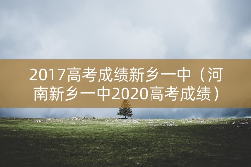 2017高考成绩新乡一中（河南新乡一中2020高考成绩）