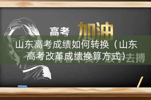 山东高考成绩如何转换(山东高考改革成绩换算方式) 山东高考成绩如何转换(山东高考改革成绩换算方式)
