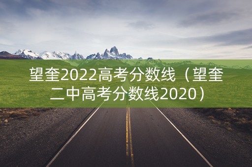 望奎2022高考分数线（望奎二中高考分数线2020）