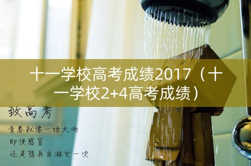 十一学校高考成绩2017（十一学校2+4高考成绩）