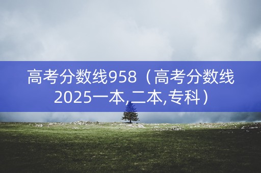高考分数线958（高考分数线2025一本,二本,专科）