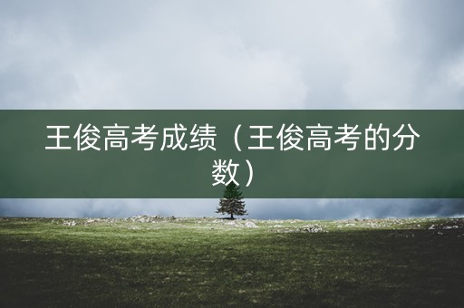 王俊高考成绩（王俊高考的分数）