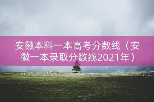 安徽本科一本高考分数线（安徽一本录取分数线2021年）