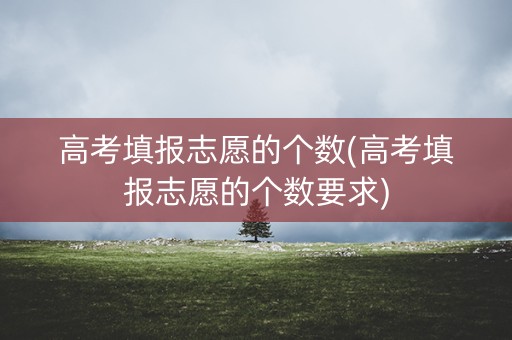 高考填报志愿的个数(高考填报志愿的个数要求)