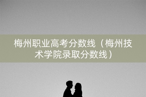 梅州职业高考分数线（梅州技术学院录取分数线）