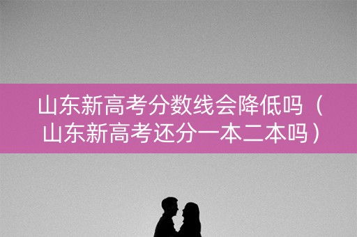 山东新高考分数线会降低吗（山东新高考还分一本二本吗）