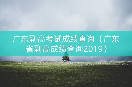 广东副高考试成绩查询（广东省副高成绩查询2019）