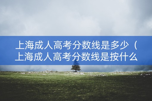 上海成人高考分数线是多少（上海成人高考分数线是按什么标准）
