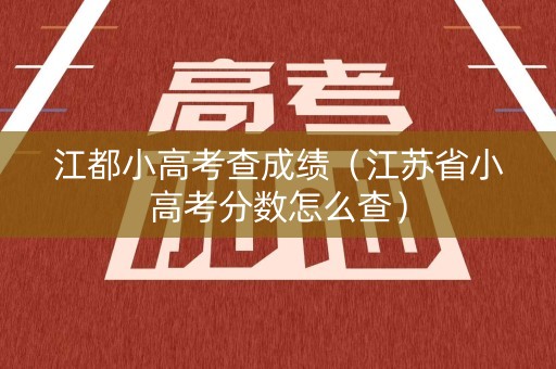 江都小高考查成绩（江苏省小高考分数怎么查）