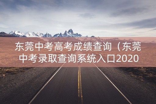 东莞中考高考成绩查询（东莞中考录取查询系统入口20201）