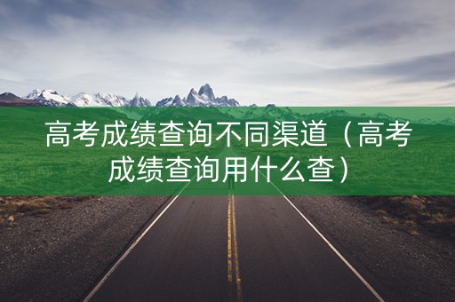 高考成绩查询不同渠道（高考成绩查询用什么查）
