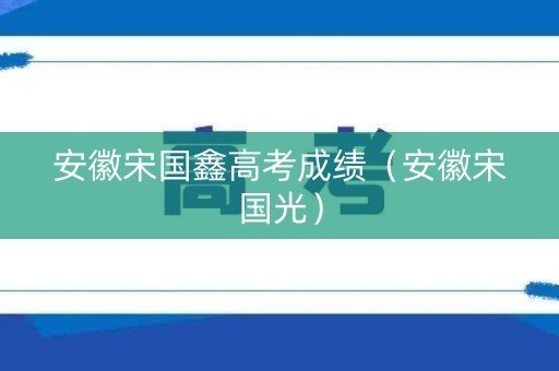 安徽宋国鑫高考成绩（安徽宋国光）