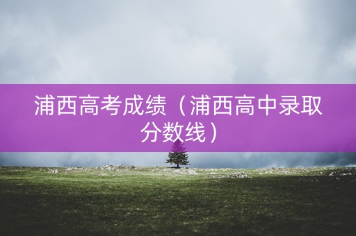 浦西高考成绩（浦西高中录取分数线）