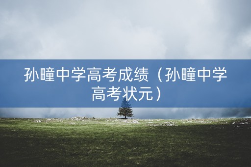 孙疃中学高考成绩（孙疃中学高考状元）