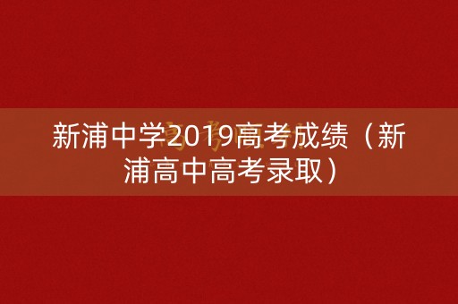 新浦中学2019高考成绩（新浦高中高考录取）