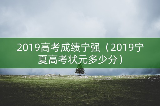 2019高考成绩宁强（2019宁夏高考状元多少分）
