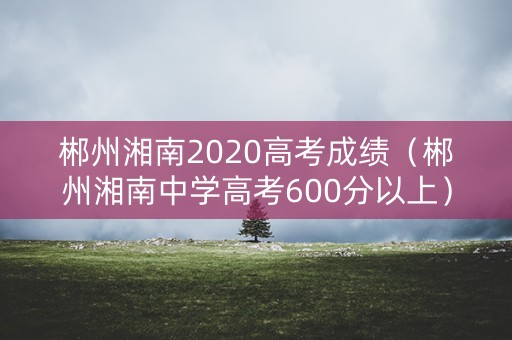 郴州湘南2020高考成绩（郴州湘南中学高考600分以上）