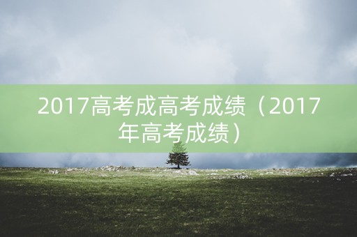 2017高考成高考成绩（2017年高考成绩）