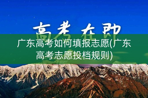 广东高考如何填报志愿(广东高考志愿投档规则)