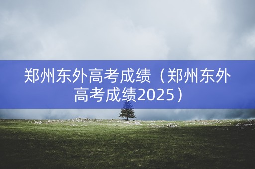 郑州东外高考成绩（郑州东外高考成绩2025）