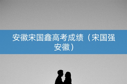 安徽宋国鑫高考成绩（宋国强安徽）