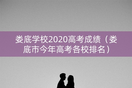 娄底学校2020高考成绩（娄底市今年高考各校排名）