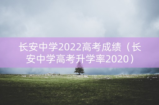 长安中学2022高考成绩(长安中学高考升学率2020) 长安中学2022高考成绩(长安中学高考升学率2020)