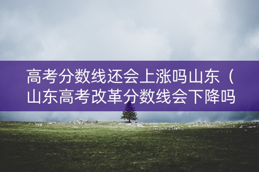 高考分数线还会上涨吗山东（山东高考改革分数线会下降吗）