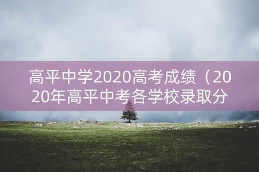 高平中学2020高考成绩（2020年高平中考各学校录取分数线）