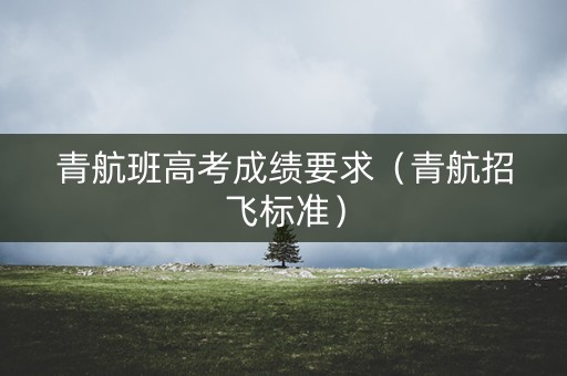 青航班高考成绩要求（青航招飞标准）