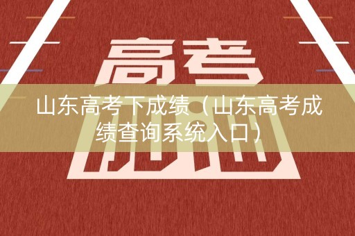 山东高考下成绩（山东高考成绩查询系统入口）
