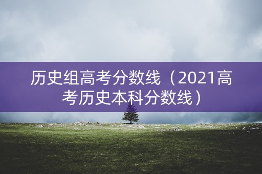 历史组高考分数线（2021高考历史本科分数线）
