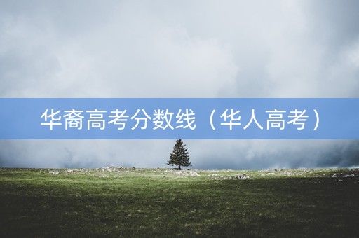 华裔高考分数线（华人高考）