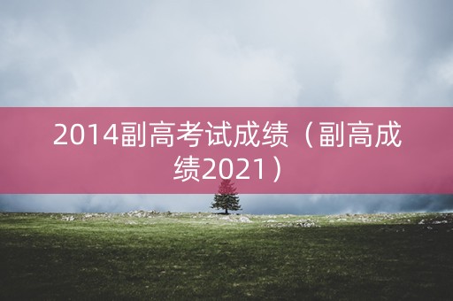 2014副高考试成绩（副高成绩2021）