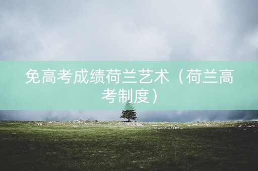 免高考成绩荷兰艺术（荷兰高考制度）