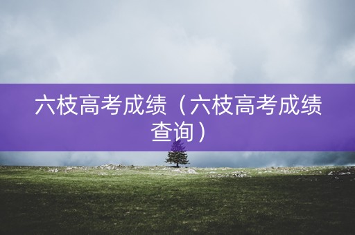 六枝高考成绩（六枝高考成绩查询）