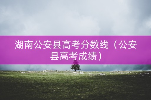 湖南公安县高考分数线（公安县高考成绩）