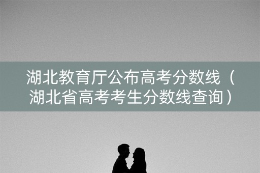 湖北教育厅公布高考分数线（湖北省高考考生分数线查询）