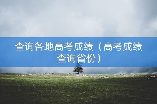 查询各地高考成绩（高考成绩查询省份）