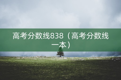 高考分数线838（高考分数线一本）