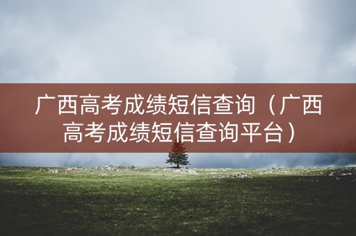 广西高考成绩短信查询（广西高考成绩短信查询平台）
